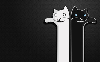 White black cat illusion storybook - two cat free wallpaper