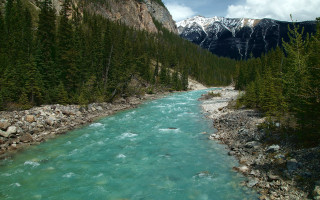 River forest mountains rocks sky - a forest free wallpaper