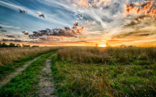Dirt path grassy field sunset - a dirt path free wallpaper