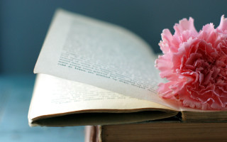 Pink flower open book table - an open book free wallpaper