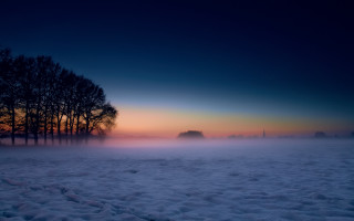Foggy field trees sunset mystical - a foggy field free wallpaper for desktop