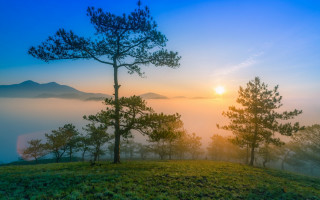 Sunrise mountain fog trees mist - edi rama free wallpaper for desktop
