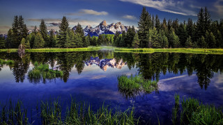 Mountain lake reflection trees grass 4 - bob thompson free wallpaper for desktop