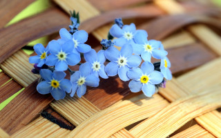 Blue flowers basket strawberries wooden - a basket of strawberries free wallpaper