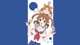 Girl cat on head - her head and a cat free wallpaper