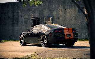 Black car red stripe matte - door free wallpaper