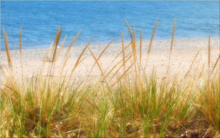 Beach grass water sky bridge - a few cloud free wallpaper for desktop