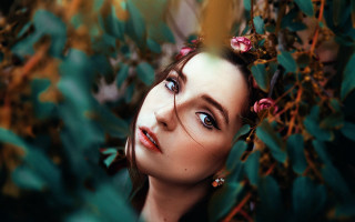 Woman blueeyes flowerbush portrait jewelry - a bush free wallpaper