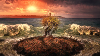 Tree rock ocean waves sunset - a rock in the middle of the ocean free wallpaper