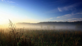 Foggy dawn forest lake mountains 2 - sunrise free wallpaper for desktop