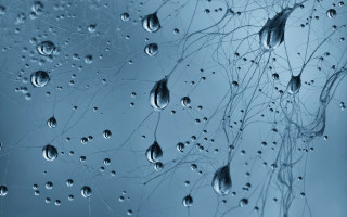 Water droplets window blue background - macro photography free wallpaper