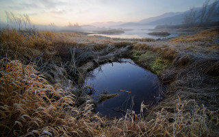 Foggy field pond trees sunset - a small pond free wallpaper for desktop