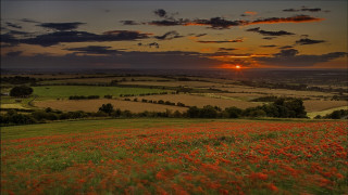 Flower field sunset clouds mountains 2 - dave allsop free wallpaper for desktop