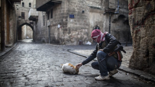 Kneeling person petting cat cobblestone - arthur sarkissian free wallpaper