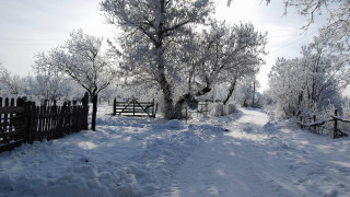 Snowy path fence tree person - a snowy path free wallpaper