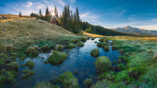 Lush green field forest hillside - hillside free wallpaper