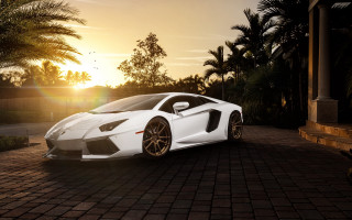 White sports car sunset palm - perfect free wallpaper