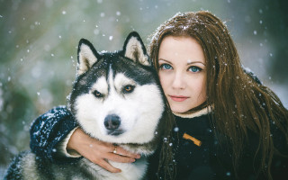 Woman husky snowfall aurora starry - husky free wallpaper