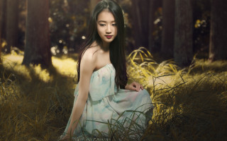 Woman dress field trees sunlight - chen lin free wallpaper