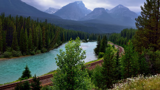 Train forest mountains river landscape - a train traveling free wallpaper for desktop