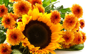 Large sunflower vase leaves flowers - a vase free wallpaper for desktop