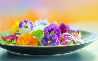 Colorful pansies blurry background flower - a bowl free wallpaper