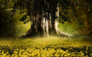 Tree field sunbeam autumn leaves - a sunbeam in the background free wallpaper for desktop