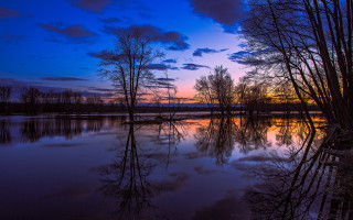 Lake trees sunset clouds reflections - tree and a sunset in the background free wallpaper