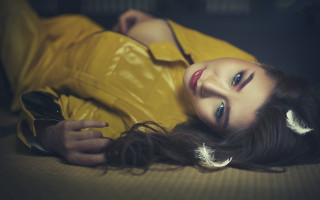 Chizuko yoshida yellow jacket feathers - a yellow jacket free wallpaper