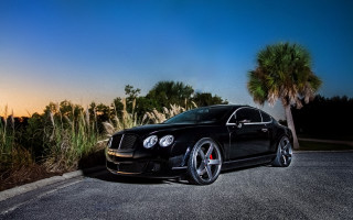 Black bentley sunset palm tree - the side of a road next free wallpaper for desktop