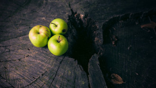 Three green apples tree stump - a piece of wood free wallpaper