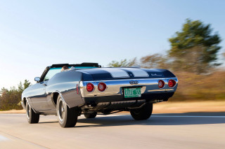 Car driving road license rear - back end free wallpaper