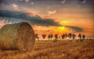 Hay bales sunset palm trees - hay bale free wallpaper