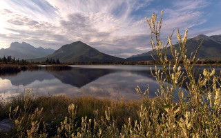 Lake mountains grass sky clouds 11 - mountain and grass free wallpaper for desktop