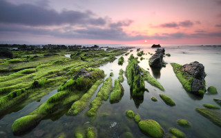Sunset rocky beach moss water 6 - the rock and water free wallpaper