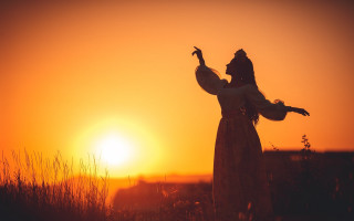 Woman dress bird sunset backlighting - the sun setting free wallpaper for desktop