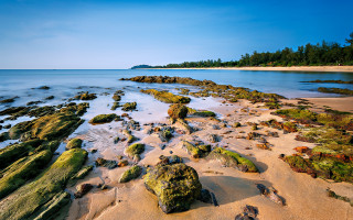 Beach rocks water island trees - rock and water free wallpaper for desktop