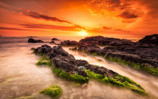 Sunset rocky beach green algae 3 - green alga free wallpaper