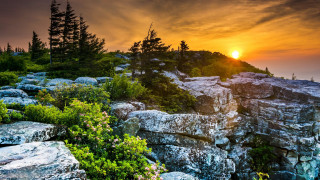 Sunset rocky mountain trees bushes - asher brown durand free wallpaper