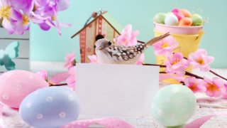 Bird card eggs flowers sign - a storybook illustration free wallpaper