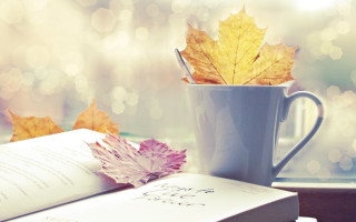 Book coffee leaf autumn bokeh - the table free wallpaper