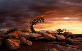 Lone tree desert rocks sunset - a lone tree in the foreground free wallpaper