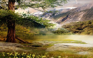 Mountain lake trees flowers cloudy - albert bierstadt free wallpaper