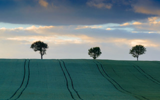 Three trees hill cloudy sky - landscape free wallpaper for desktop