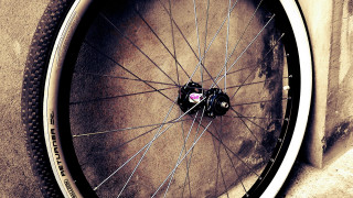 Bicycle wheel pink heart fisheye - fisheye len free wallpaper for desktop