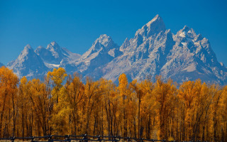 Mountain fence trees autumn leaves - the ground in front free wallpaper for desktop