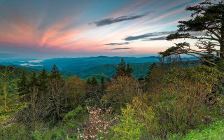 Sunset mountain range trees bushes 2 - a pink sky free wallpaper