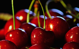 Cherry closeup shiny fruit macro - cherry free wallpaper