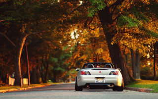 White sports car fall autumn - a white sports car free wallpaper for desktop
