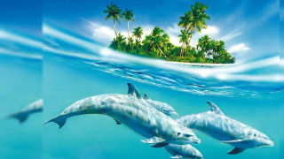 Dolphins swimming ocean island palm 2 - palm tree and a boat free wallpaper